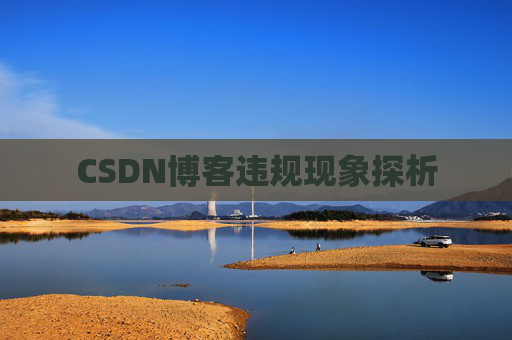 CSDN博客违规现象探析